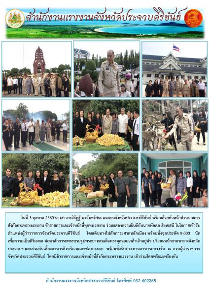 Mol-Thailand